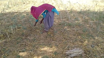गांव का देसी लंड ने खेत में काम करती हुई अपनी बेवा को ज़ोरदार चोदा
