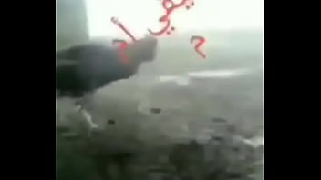 Kontol Hitam Arab Yang Menggoda