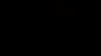 भारतीय भाभी की गर्म चुदाई का मज़ा