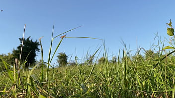 Milf Seksi Dengan Pantat Gede Dalam Gaun Membungkuk Dalam-dalam Hingga Basah Kuyup Di Alam Terbuka