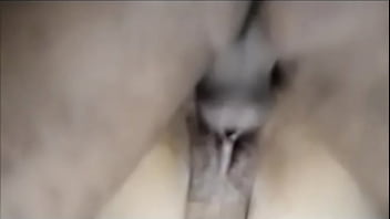 Banteng India Menggila, Menyodok Sapi Hingga Lubang Dubur Dan Memeknya