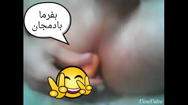 آقای کون ایرانم، کونتو می‌خوام